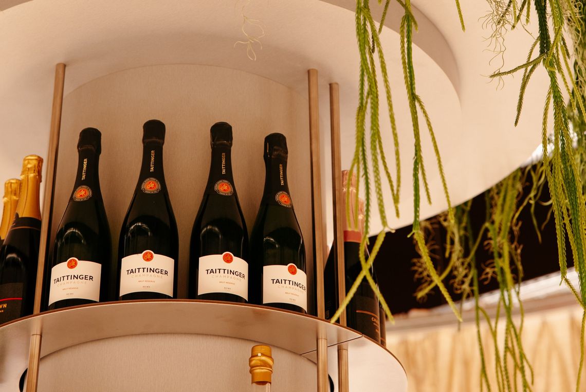 23 troubadour x songbird 22 10 25 www harbinson uk